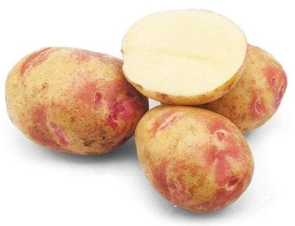 Сорт картофеля иван да шура: описание, характеристика, фото