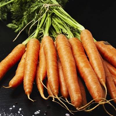 Морковь витаминная 6: описание сорта, отзывы, фото, урожайность