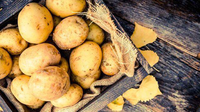 Классификация картофеля по видам
