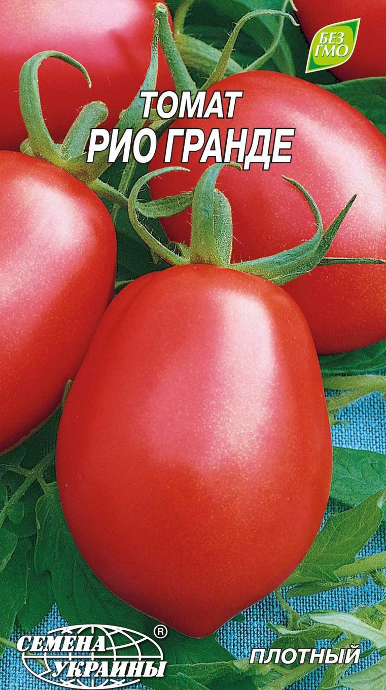 Томат "рио гранде": описание и урожайность сорта, характеристики плодов, фото помидоров