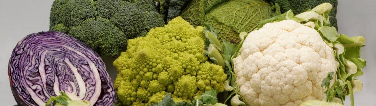 Цветная капуста при диабете 2 типа. Cruciferous. Сорта капусты. Капуста разная. Сорта капусты капусты.