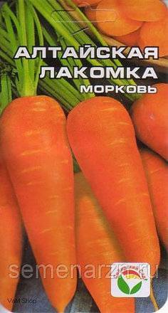 Морковь алтайская лакомка: отзывы, фото, урожайность