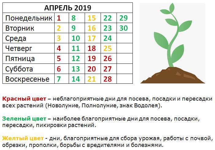 Лунный календарь для растений по дням на март 2020