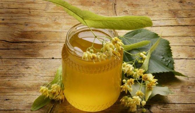 Мед подсолнуха — польза и вред