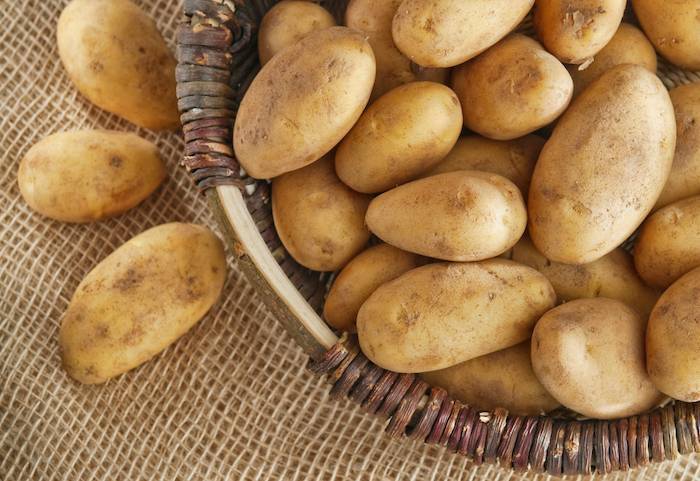 Где хранить картошку: какая температура должна быть зимой в подвале, а также чем характеризуются способы сбережения овоща в буртах, траншеях и других местах?