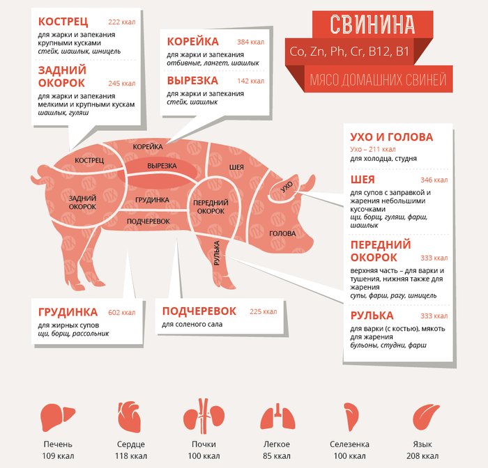 Какую часть свинины лучше выбрать – самую мягкую и вкусную