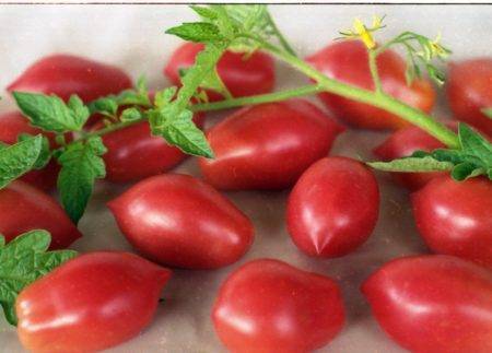 Небывалые и равномерные урожаи — томат колокола россии золотой: характеристика и описание сорта