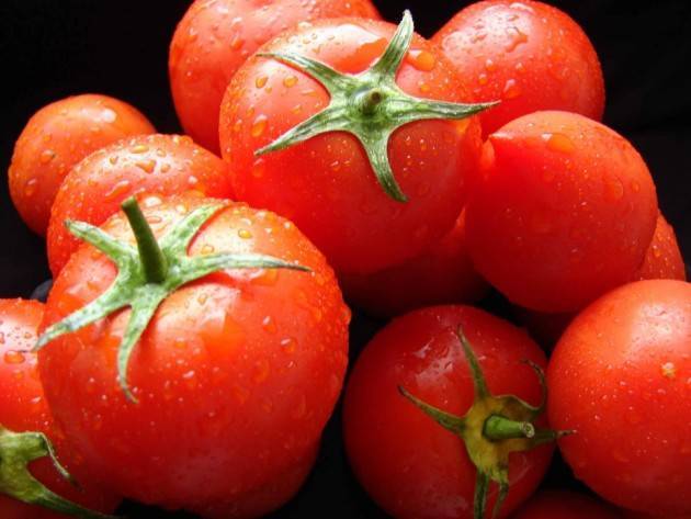 Топ-10 самых крупных сортов томатов от читателей огород.ru