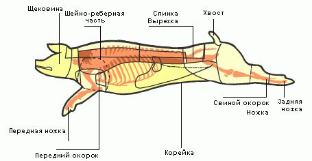 Как приготовить рульку свиную в духовке