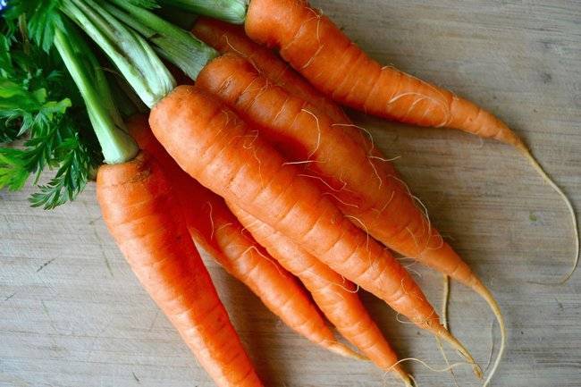 Чем обработать морковь от морковной мухи: чем полить из народных средств, как еще можно избавиться, как защитить посевы перед прореживанием и уберечь после него?