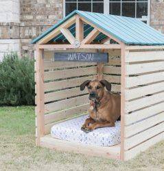 Как построить будку для собаки своими руками из подручных материалов