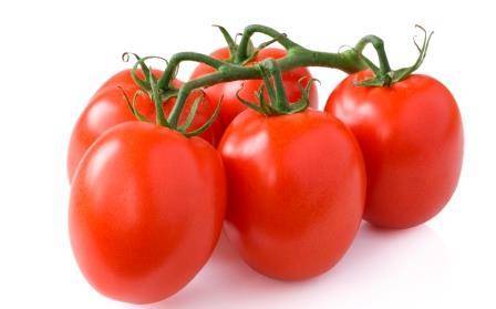 Низкорослые помидорчики сорта рома можно выращивать даже на подоконнике