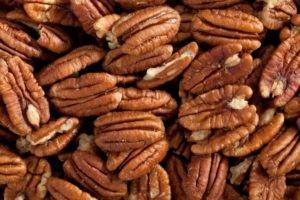Орех пекан: где растет в россии? особенности выращивания ореха в россии, подмосковье и других климатических условиях
