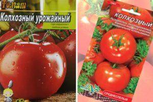 Томат сорта сластена — характеристики, описание и нюансы выращивания, отзывы