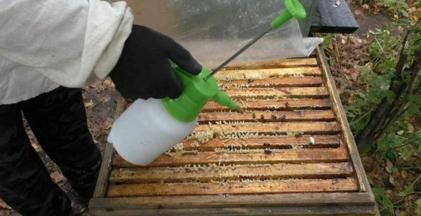 Обработка пчел бипином: как разводить и чем распылять