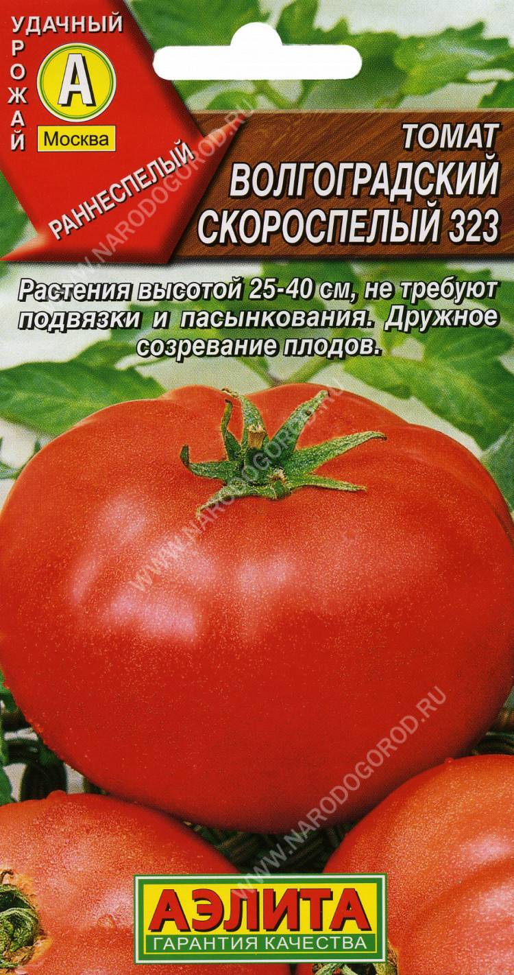 Выращиваем томат «волгоградский 5 95»: описание, особенности и фото сорта