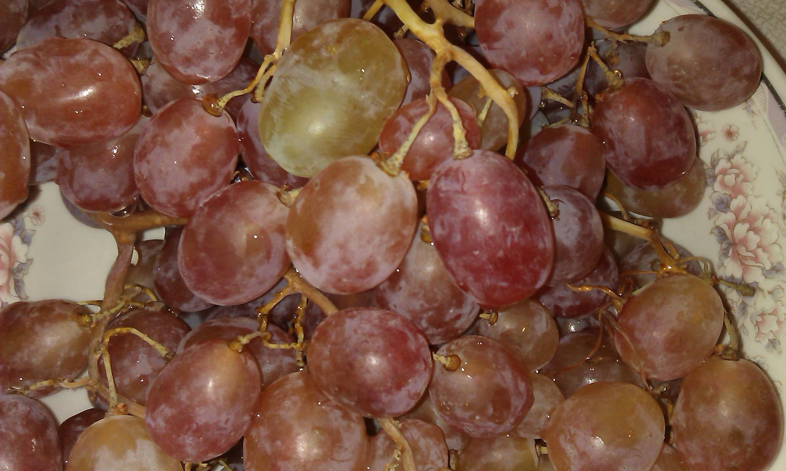 Виноград ранний розовый описание сорта фото отзывы. виноград русский ранний