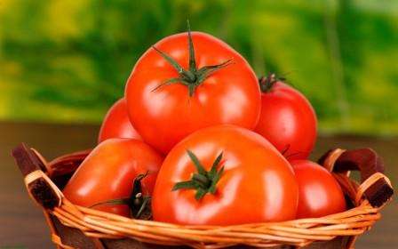 Ранний гибрид помидоров ирина: для салатов и консервации