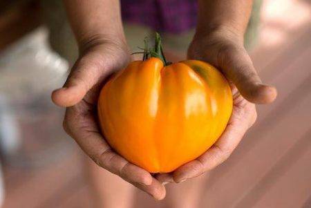 Сочные томаты черри клубничный f1: отзывы об урожайности, описание и характеристики сорта