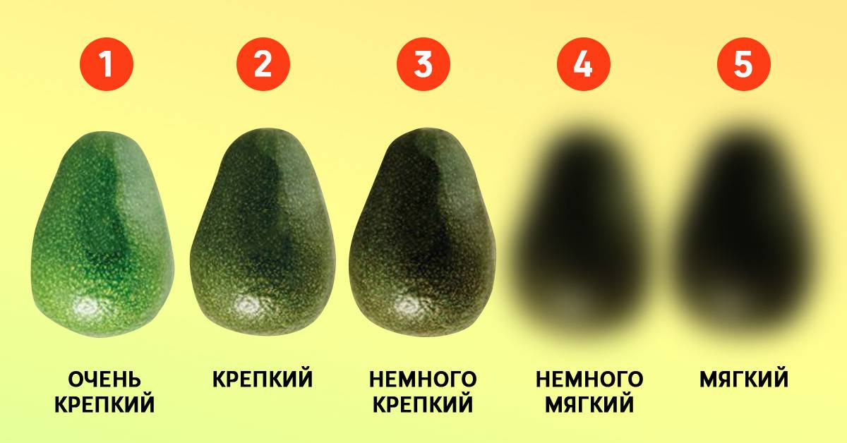 Как правильно выбрать авокадо, хранить и приготовить