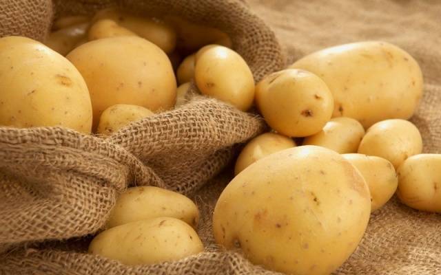 Сорта картофеля голландско-ирландской семеноводческой компании ipm potato