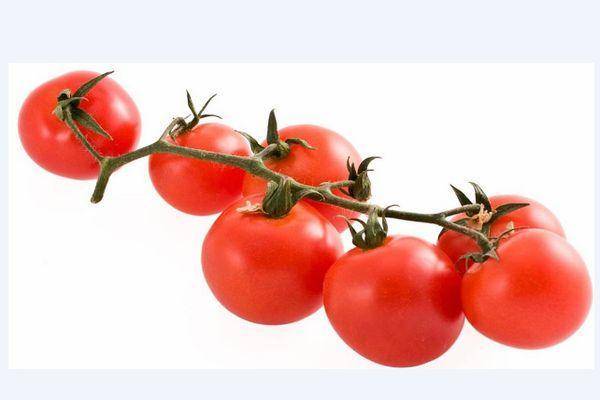Характеристики, достоинства, особенности выращивания гибридного томата сорта «кострома»