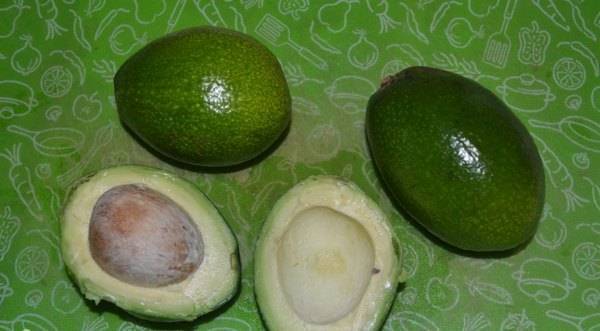 Самые известные сорта авокадо по типам: описание продукта и фото