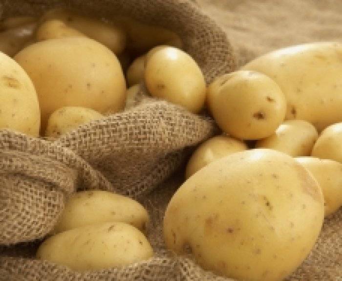 Сорта картофеля: какие выбрать для посадки и хранения