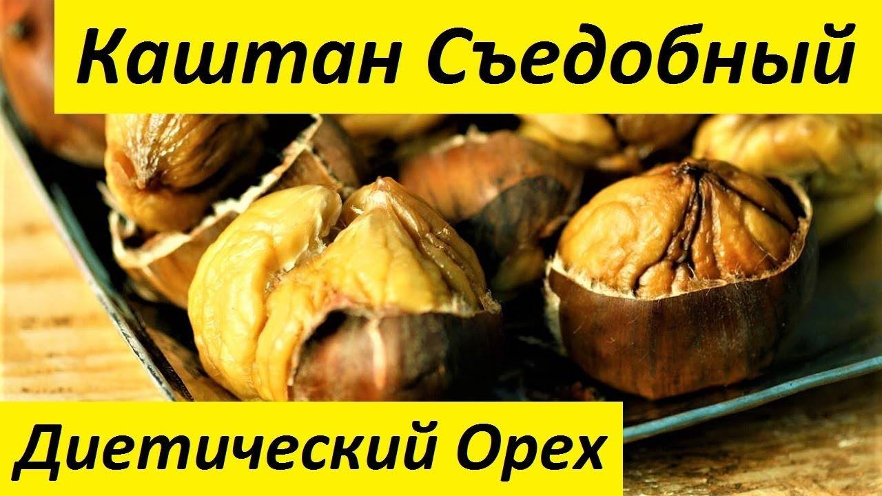 Макадамия – польза и вред самого дорогого ореха в мире