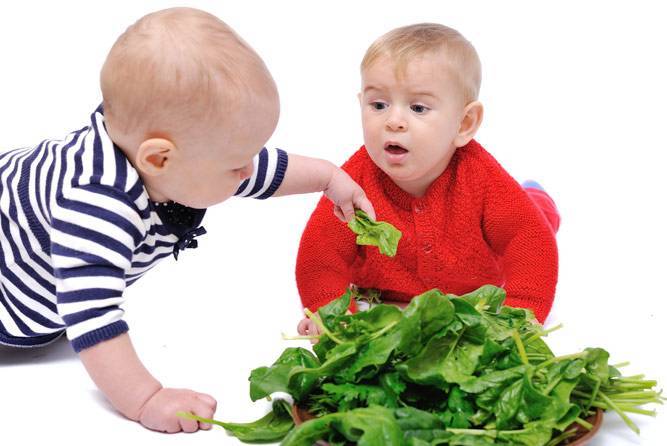 Чем полезен шпинат и с какого возраста его можно давать ребенку?