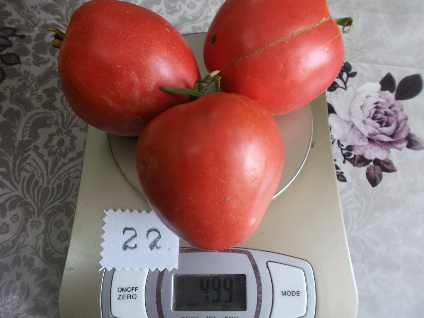 Замечательный новый сорт томата «абаканский розовый» — где и как выращивать, описание характеристик, фото помидор