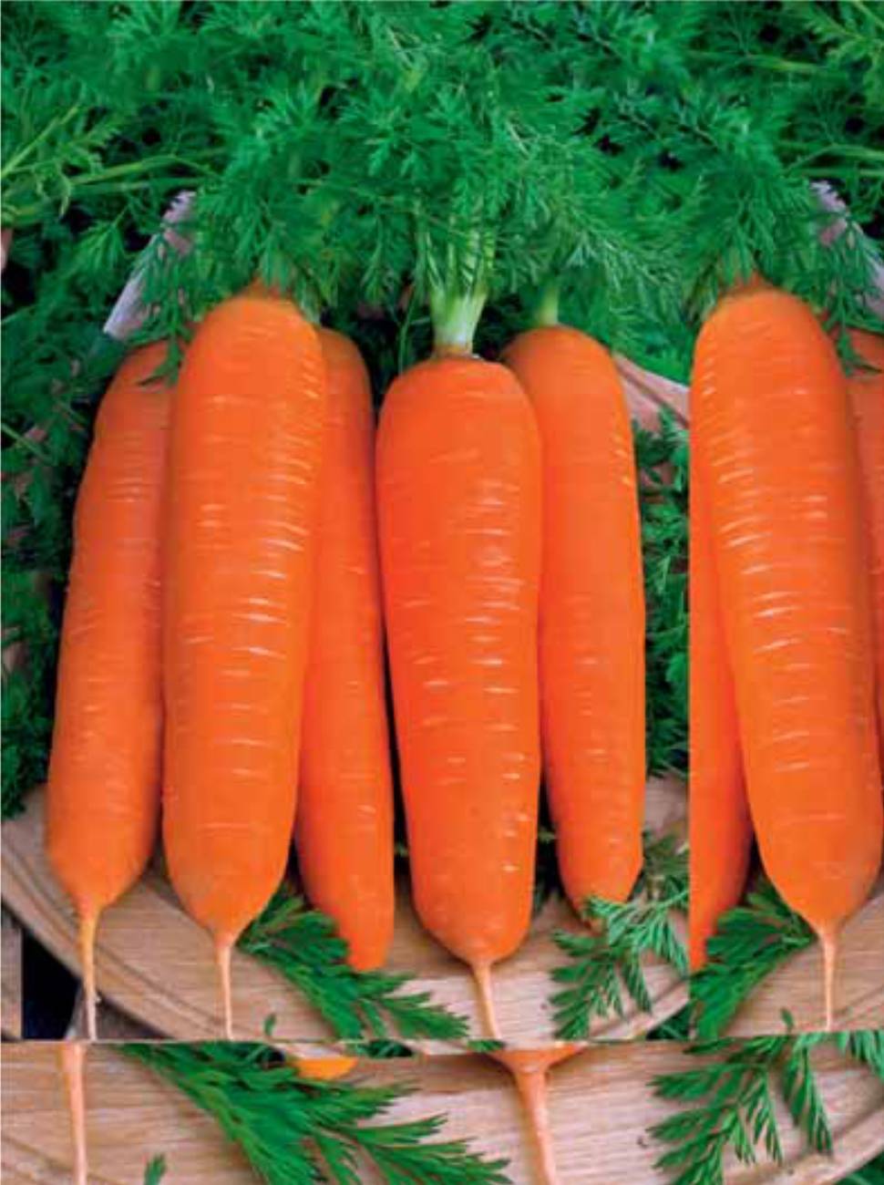 Как ухаживать за морковью берликум роял?