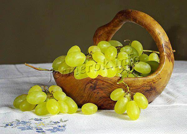 Виноград «лора»: особенности посадки и ухода