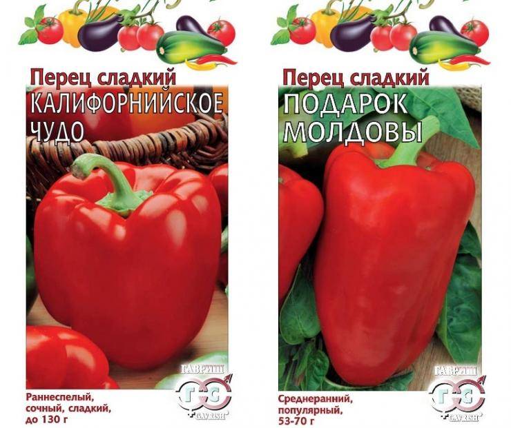 Лучшие сорта сладкого болгарского перца: описания, характеристики и фото