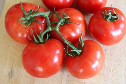 Особенности сорта и выращивание томата благовест