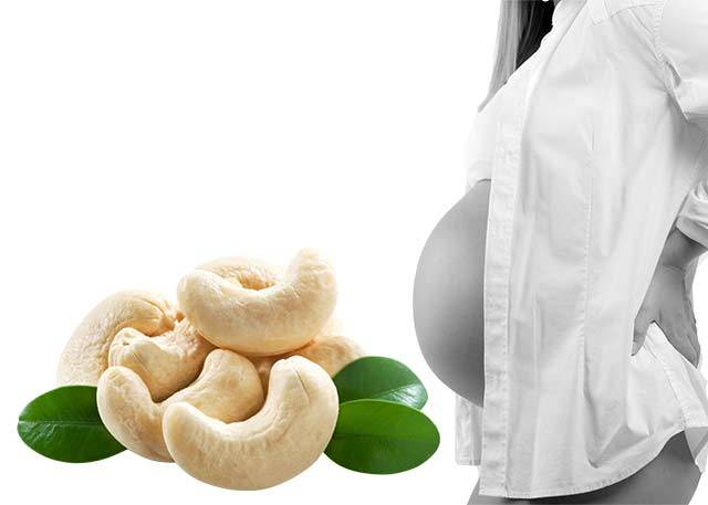 Грецкие орехи при беременности: польза и противопоказания