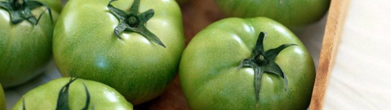 Как хранить помидоры чтобы они покраснели: ускоряем созревание и сохраняем свежесть овоща надолго