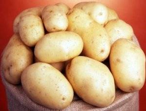 Благородный сорт картофеля "королева анна"  родом из германии с подробным описанием сорта и отличительными характеристиками проиллюстрированными наглядными фото