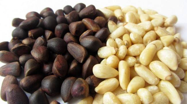Можно ли грецкие орехи при грудном вскармливании