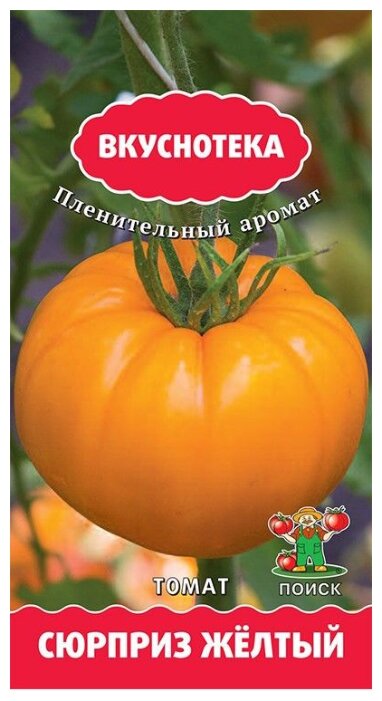 Помидоры с хорошей урожайностью — томат дачный любимец: описание сорта и советы по выращиванию
