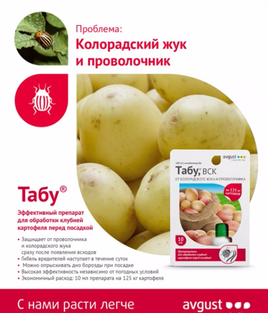Качественная обработка картофеля перед посадкой: как и чем защитить от болезней и вредителей
