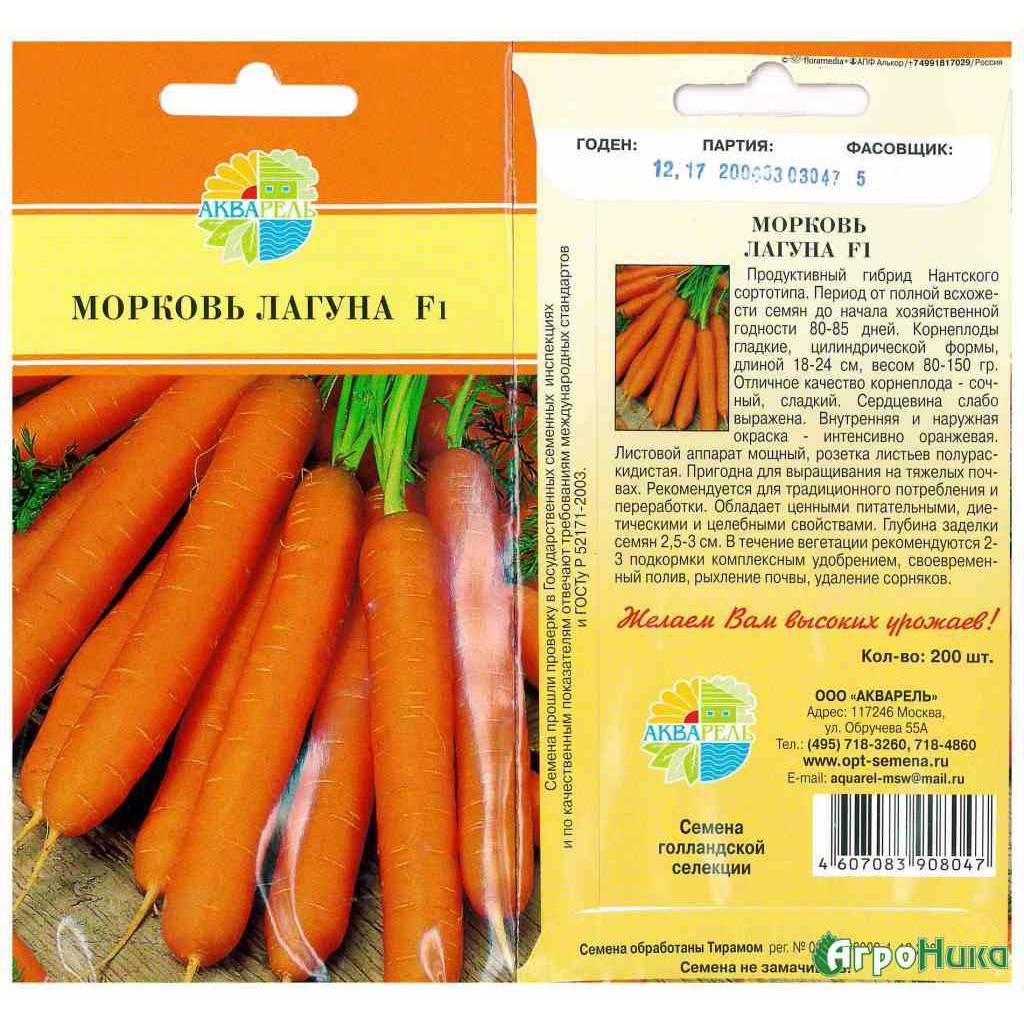 Морковь наполи f1 — описание сорта, фото, отзывы, посадка и уход