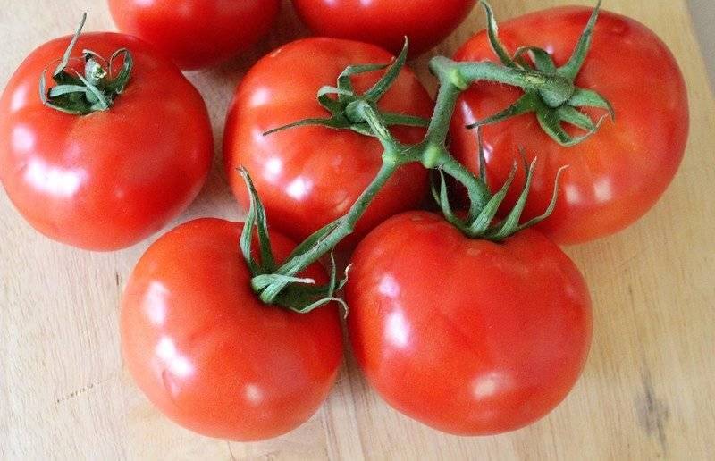 12 скороспелых сортов томатов, которые можно сеять в апреле-мае
