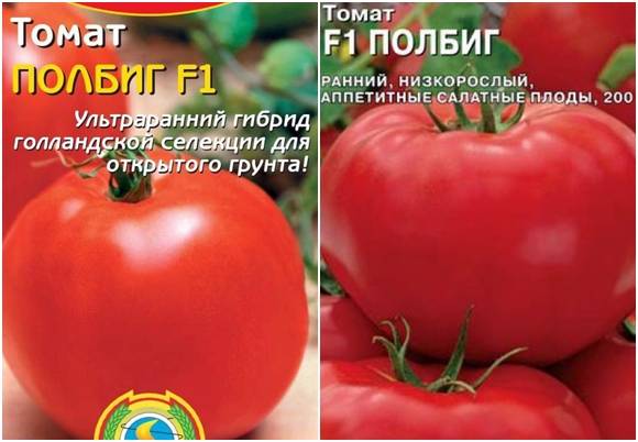 Ранний богатый урожай на радость каждому дачнику — томат «полбиг»