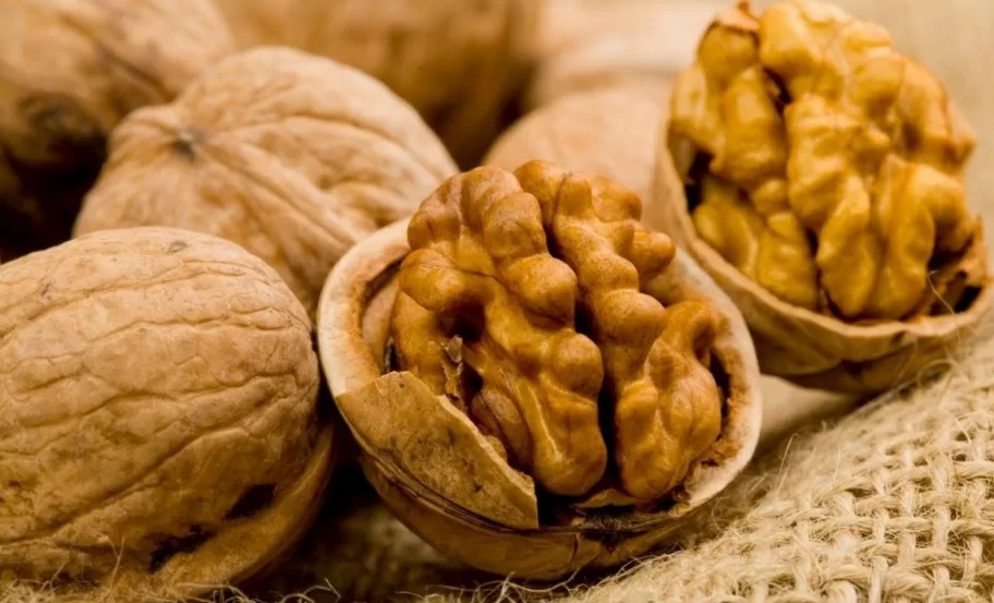 Зеленые орехи: какие болезни лечат, рецепты