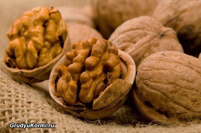 Не навреди: можно ли орехи при грудном вскармливании и какие именно?