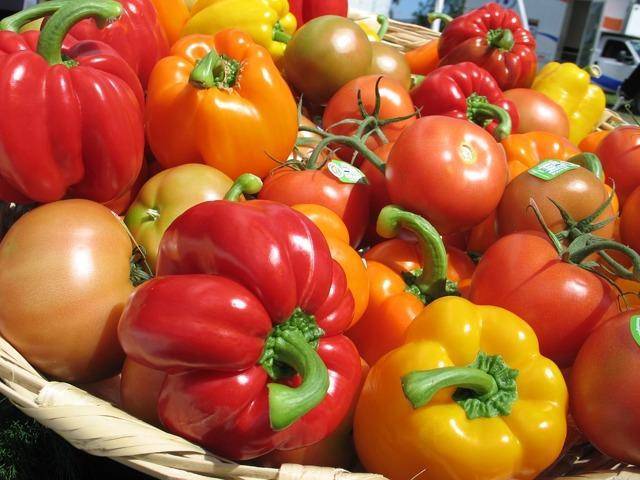 Готовый грунт для рассады томатов и перцев: "агрикола", "чудо грядка", "терра вита", "малышок" и многие другие, а также советы, какой выбрать?