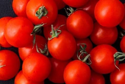 Сорт томата «бетта»: описание, характеристика, посев на рассаду, подкормка, урожайность, фото, видео и самые распространенные болезни томатов