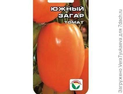 Сорт томата южный загар: фото и описание