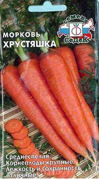 Морковь, описание, сорта и выращивание – полезные и лечебные свойства моркови — vosmarket